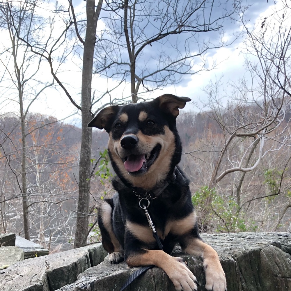 Meet your Posher, Paul